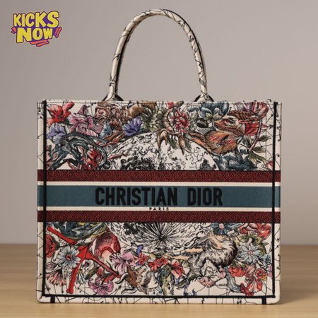 Dior Book Tote Bag