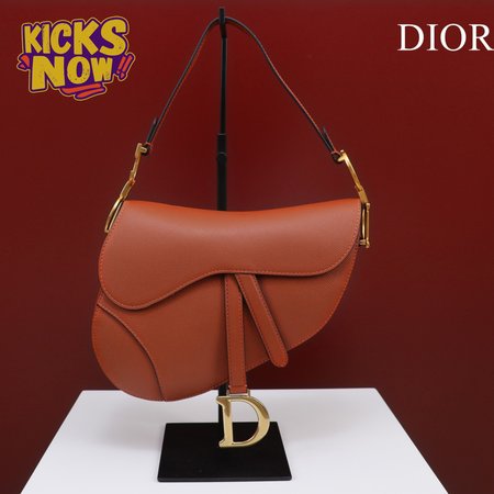 Dior Saddle M0446
