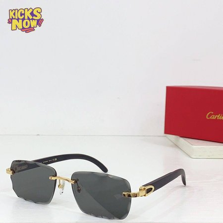 Cartier Sunglasses